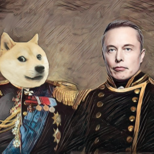 NFT Buy NFTs from a leading Marketplace featuring top projects