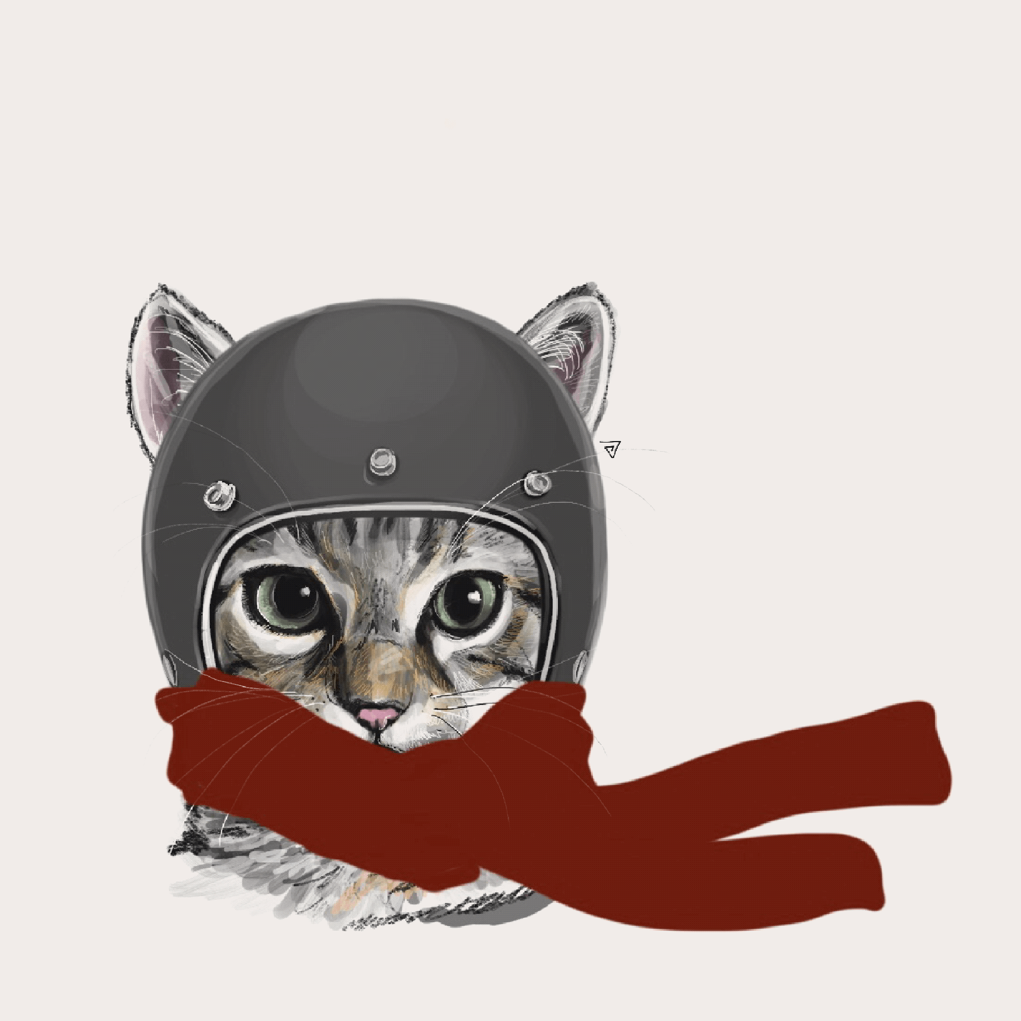 Crypto.com NFT | Cat Wearing Helmet : OG